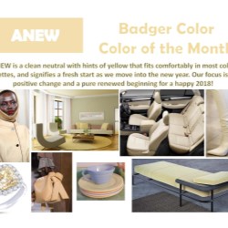 January - Color of the Month